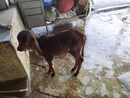 थंबनेल 3