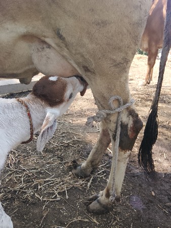 थंबनेल 2