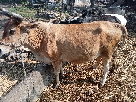 थंबनेल 2