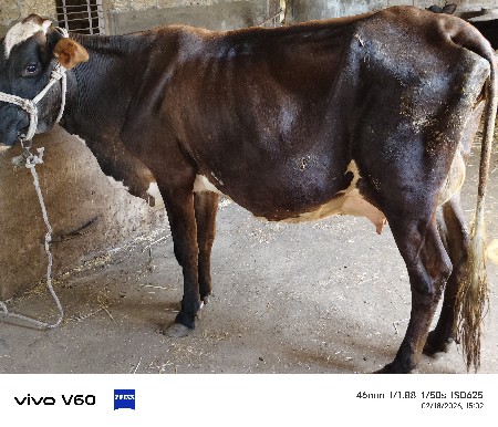 थंबनेल 4