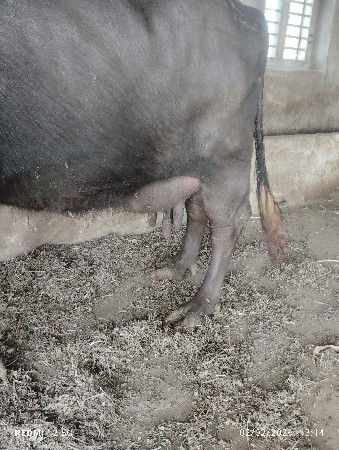 थंबनेल 3