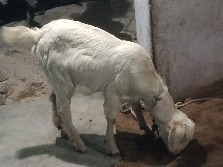 थंबनेल 2