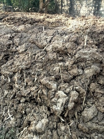 ...  .
.
છાણિયુ ખાતર વેચવાનું છે