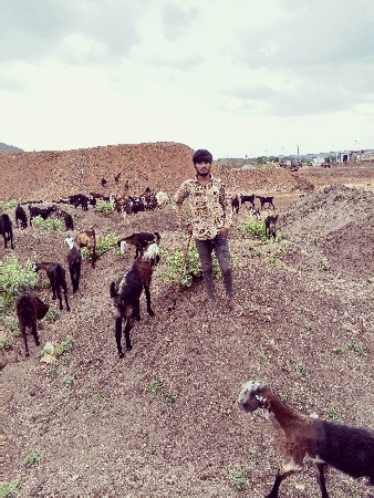 થંબનેલ 2