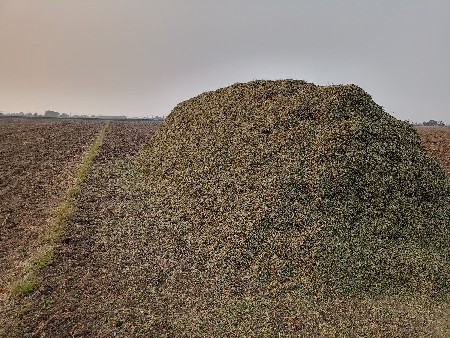 મગફળી નો પાલો ભૂકો અને ચણાનું