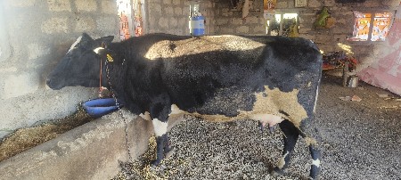 थंबनेल 2