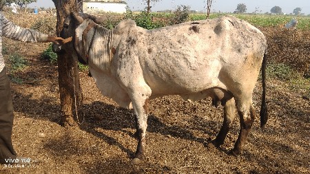 થંબનેલ 2