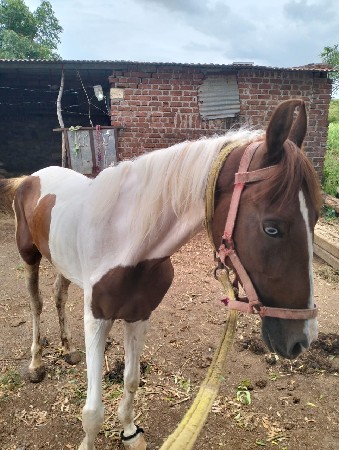 थंबनेल 3