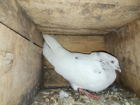 थंबनेल 2