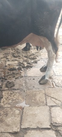 थंबनेल 2