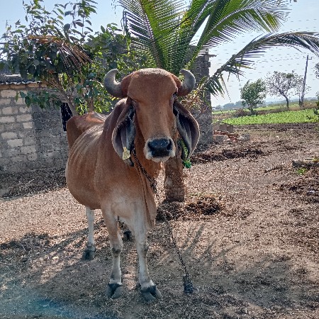 थंबनेल 2