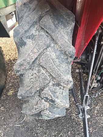 थंबनेल 2