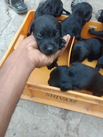 थंबनेल 3