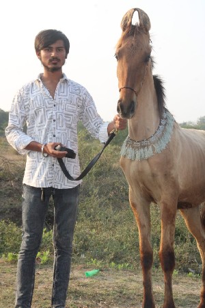 vachero pure kathiyawadi