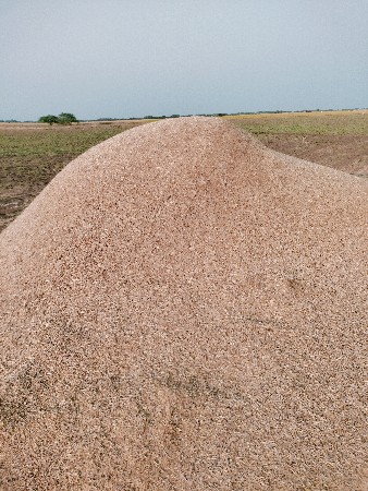 ચણાનૂ ખારીયુ વેશવાનૂ શે