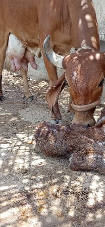 थंबनेल 3