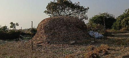 G20 નો ભૂકો