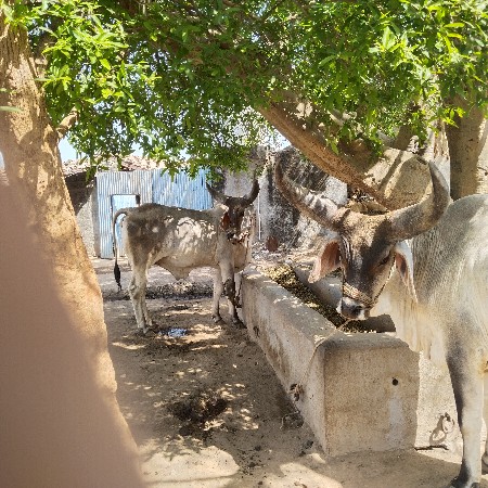 थंबनेल 3