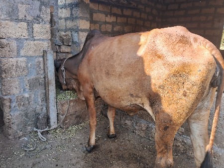 थंबनेल 2