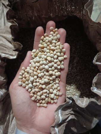 તુવેર વેચવાની છે.