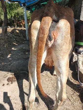 थंबनेल 2