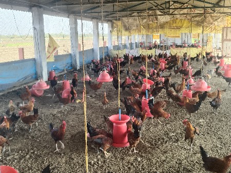 થંબનેલ 2