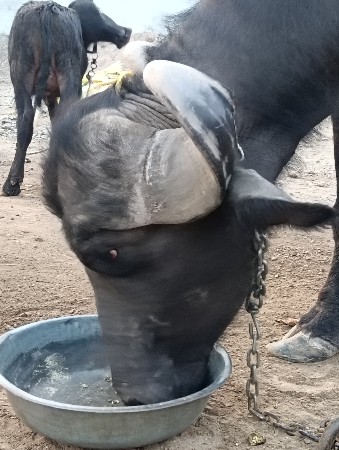 ખડાઈ વેચવા ની છે