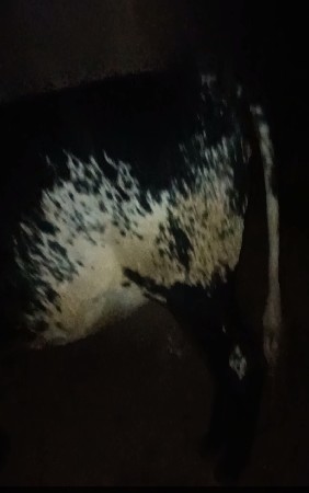 थंबनेल 2