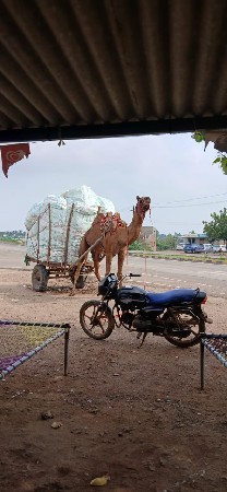 थंबनेल 2