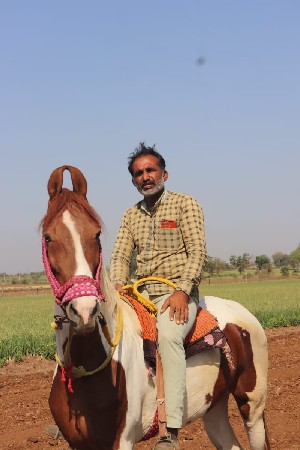 थंबनेल 2