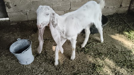 थंबनेल 3