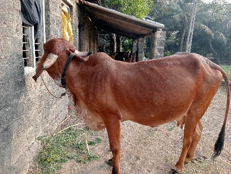 थंबनेल 2