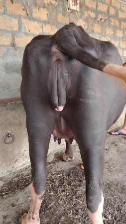 थंबनेल 2