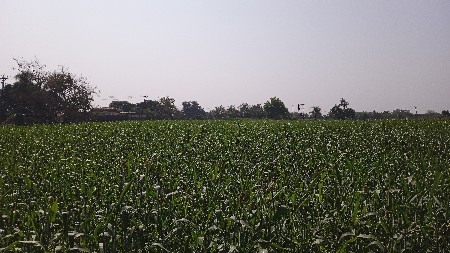 थंबनेल 2