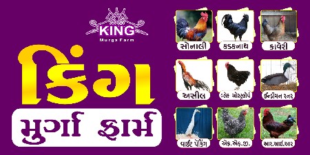 થંબનેલ 6