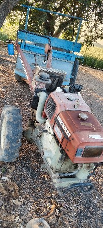 શિંગડા વાળું વેચવાનું છે ટોલી નથી