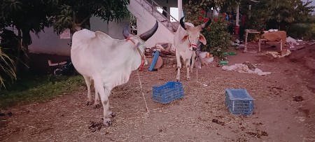 थंबनेल 3