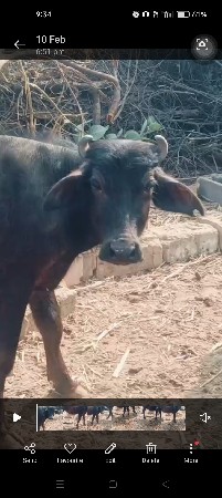 વેચવાની છે