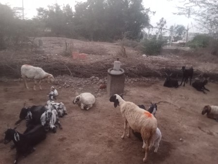 થંબનેલ 2