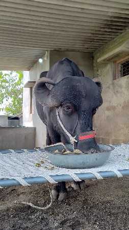 थंबनेल 2