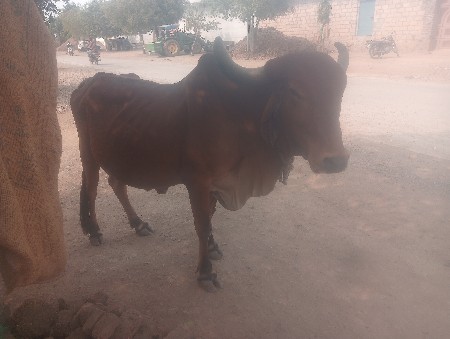 थंबनेल 3