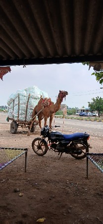 વેચવાનો છે