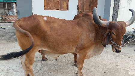 थंबनेल 3