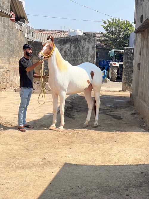 थंबनेल 3