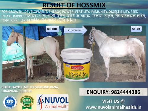 थंबनेल 4