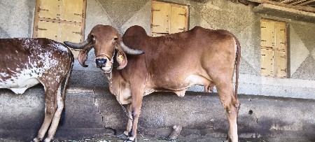 થંબનેલ 3