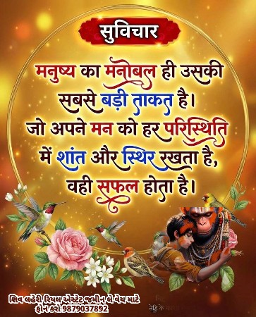 थंबनेल 4