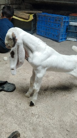 थंबनेल 3