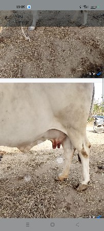 थंबनेल 5