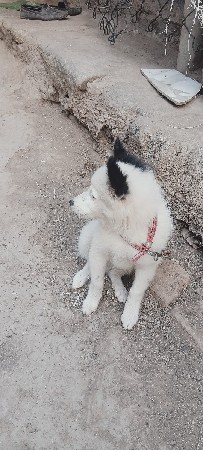 થંબનેલ 3